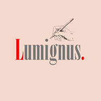 Lumignus. logo - Similar company to Partner Construction
