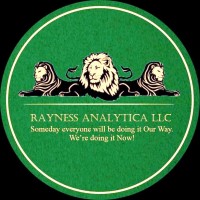 Rayness Analytica | Professional Services Marketplace logo - Similar company to Sevenett