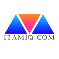 ITAM IQ logo - Similar company to Plan8 Technologies Ltd