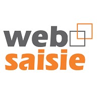WebSaisie logo - Similar company to Nosycom Sarl