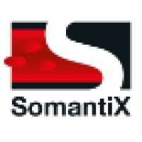 Somantix Bv