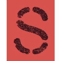 Salsa Street Food logo - Similar company to Hi Handbookinsights