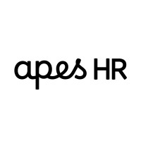 apesHR logo - Similar company to Basamento Inversion