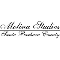 Architectual Ironmongery by Molina Studios logo - Similar company to Ironmongery World