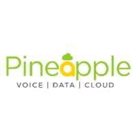 Pineapple Telecoms logo - Similar company to Lemon Well Med
