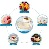 LanPu Gelatin logo - Similar company to Classic Saddlery