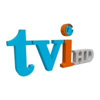 Tamil Vision International logo - Similar company to Tet Tv