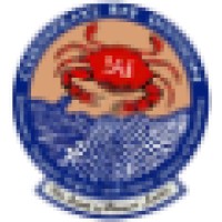 Chesapeake Bay Division of the International Association for Identification logo - Similar company to Wildfire Data Recovery | Award-Winning Data Recovery And Digital Forensics