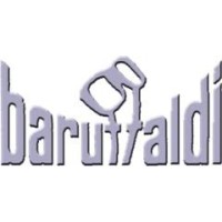 Baruffaldi Goggles Srl logo - Similar company to {Do} Web Analytics