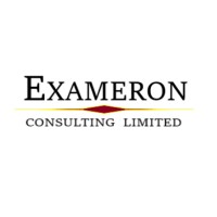 Exameron Consulting Limited logo - Similar company to Disruptive Panda