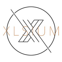 XLsium Groupe Conseils logo - Similar company to Sphère Intelligence