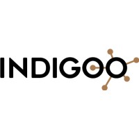 Indigoo logo - Similar company to Tss Telecommunications System Solutions