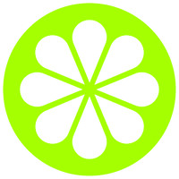 Limeblue Ltd logo - Similar company to Lime Blue Solutions