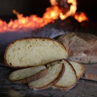 Pane di Laterza logo - Similar company to Pane E Pace