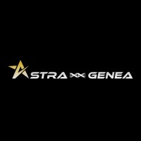 AstraGenea logo - Similar company to Computer Network Services