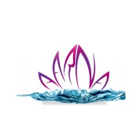 Aarna Fountain logo - Similar company to Beti Foundation