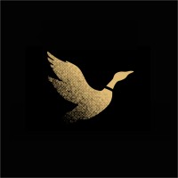Viviane da Mata | Gestão de Pessoas & Comportamento Organizacional logo - Similar company to Conectiva Imoveis