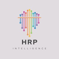 High Risk Payments Intel logo - Similar company to Max Value Processing Llc