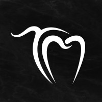 TIM DENT Miličić logo - Similar company to Mb Dent