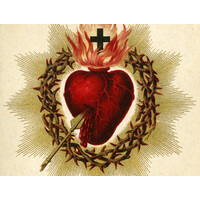 Catholic Professionals Advertise Here! logo - Similar company to Gogo-Fund