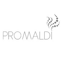 PROMALDI - Ghana Limited logo - Similar company to Showroom Etc