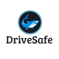 DriveSafe (DSF) logo - Similar company to Drivesafe