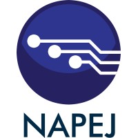 NAPEJ abogados y gestoría administrativa logo - Similar company to Gestoria Mongay Sl