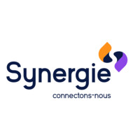 Synergie Business Club logo - Similar company to Business Club 77