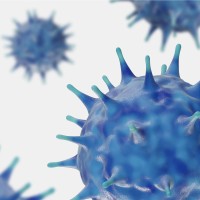 Theme Infection Leiden University Medical Center logo - Similar company to Mycobacteriumxl