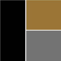 Best LASIK Surgeons logo - Similar company to Eyedeal Solutions