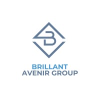 Brillant Avenir Group logo - Similar company to Process Outsource Professionals