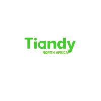 Tiandy Morocco logo - Similar company to Electronia (Pty) Ltd