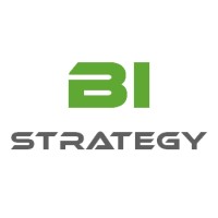 BI Strategy logo - Similar company to Bi Strateji