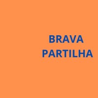 BRAVAPARTILHA logo - Similar company to Brava Participacoes