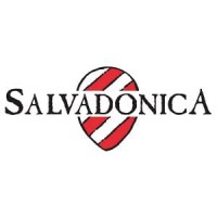 Salvadonica Resort logo - Similar company to Comms Hive