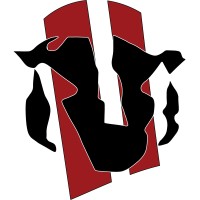 Badger Stripes logo - Similar company to The Badger Project