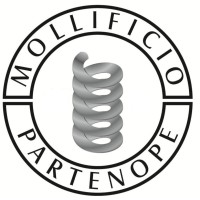 Mollificio Partenope s.r.l. logo - Similar company to Omnia Advanced Materials