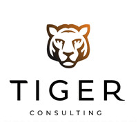 TIGER CONSULTING SRL logo - Similar company to Fa+