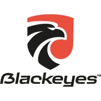BLACKEYES France logo - Similar company to Essensium