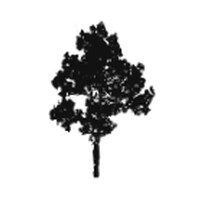 KulbackCo logo - Similar company to Session Partners