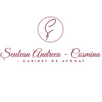 Șeulean Andreea-Cosmina -  Cabinet de avocat logo - Similar company to Berindean Law Office
