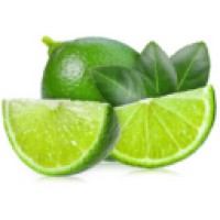 Lime Outreach logo - Similar company to Mars Business Solutions Ltd