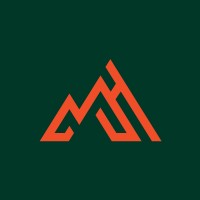 Madhouse Strategies logo - Related company intelligence peer for NewCo Consulting