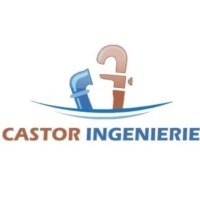 CASTOR INGENIERIE logo - Similar company to Virtual Sea