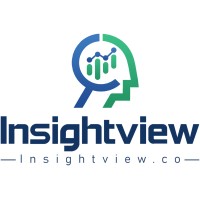 Insightview logo - Similar company to Quantum Data Management Services