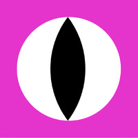 Medusa MasterMind logo - Similar company to Mdot-Pi
