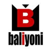Baliyoni saguna logo - Similar company to Datanesia Software