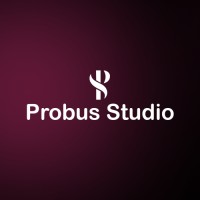 Probus Studio LLP logo - Similar company to Probus Software Private Limited