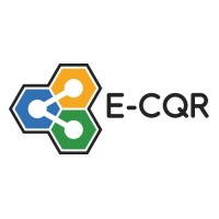 E-CQR INC. logo - Similar company to Techops Partners