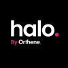 Halo By Orthene logo - Similar company to Wise Worksafe